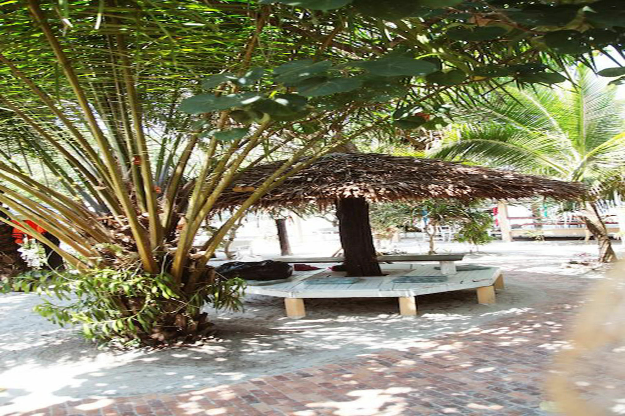 Vijit Bungalow Koh Phayam Bagian luar foto